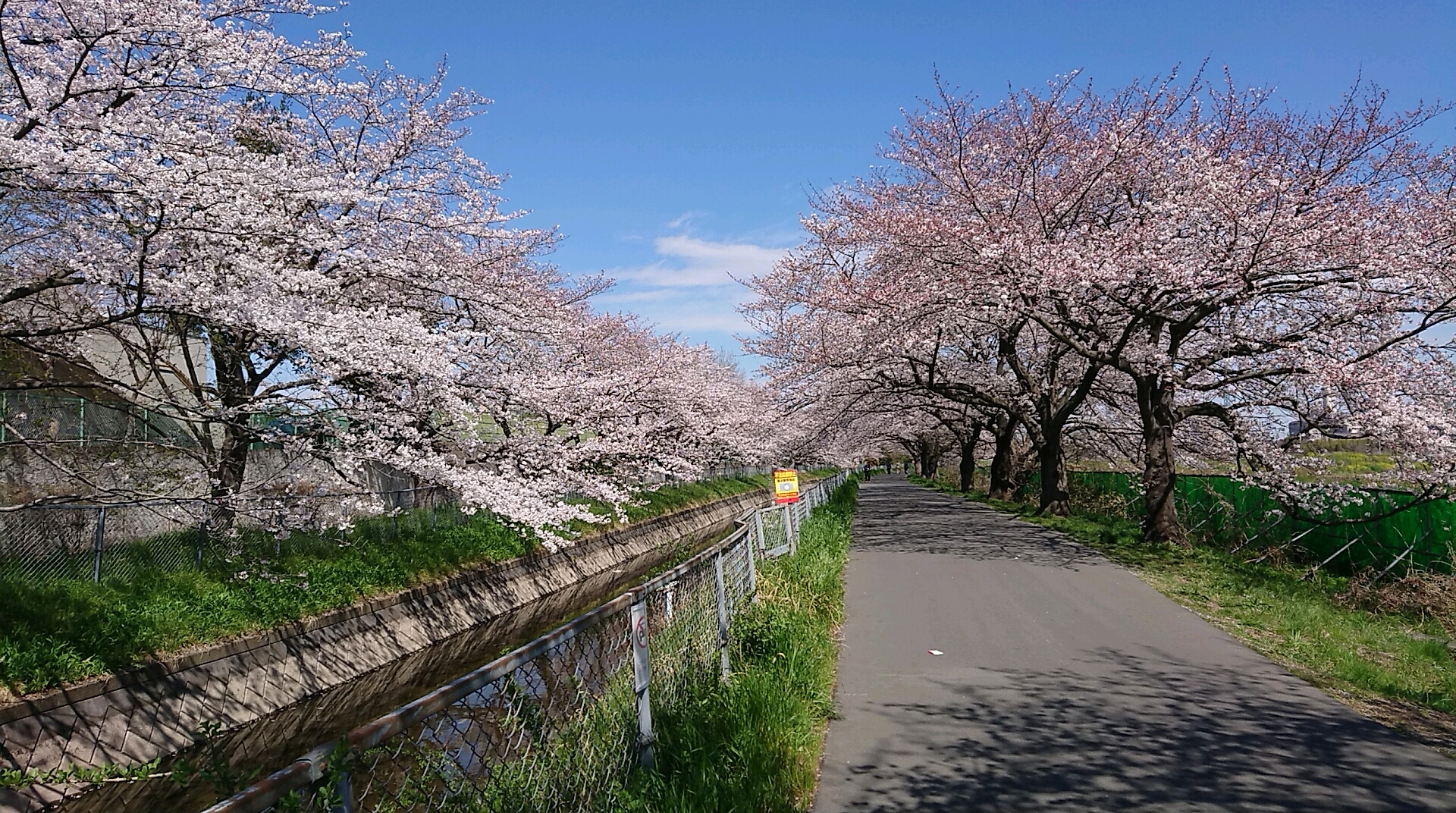 東浦和周辺の花見はまだまだいけますよ 桜のきれいなここで 東浦和 Com